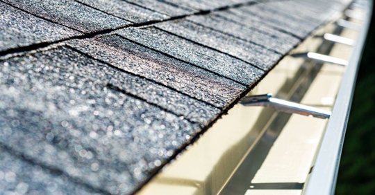 Shiny shingle roof and gutter