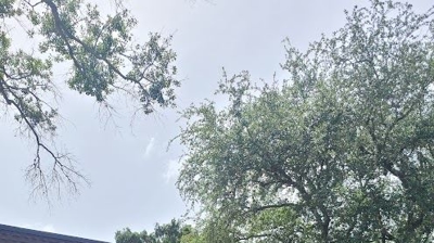 Residential Roof Photo