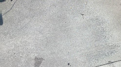 August 13th, 2022 Photo