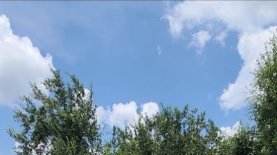 Roofers at Work Photo