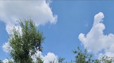 Roofers at Work Photo